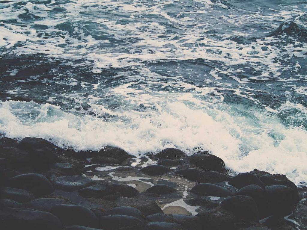 Commercial roofing insights